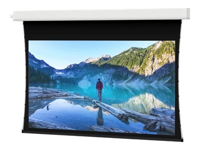 Da-Lite Tensioned Advantage - Projection screen - ceiling mountable - motorized - 120 V - 202 (202 in) - 16:9 - HD Progressive 14752L