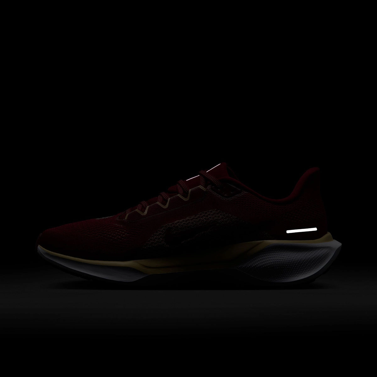 Nike Unisex 2024 Florida State Zoom Pegasus 41