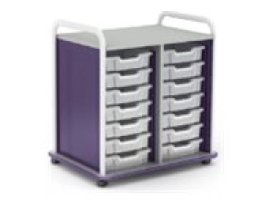 Paragon A&D Crossfit Storage - Trolley - 32 drawers - 16 gauge tubular steel, TFM CFD60OFTOTES17-918IZI
