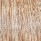 Scene Stealer Wig by Raquel Welch | Heat Friendly Synthetic Lace Front (Mono)